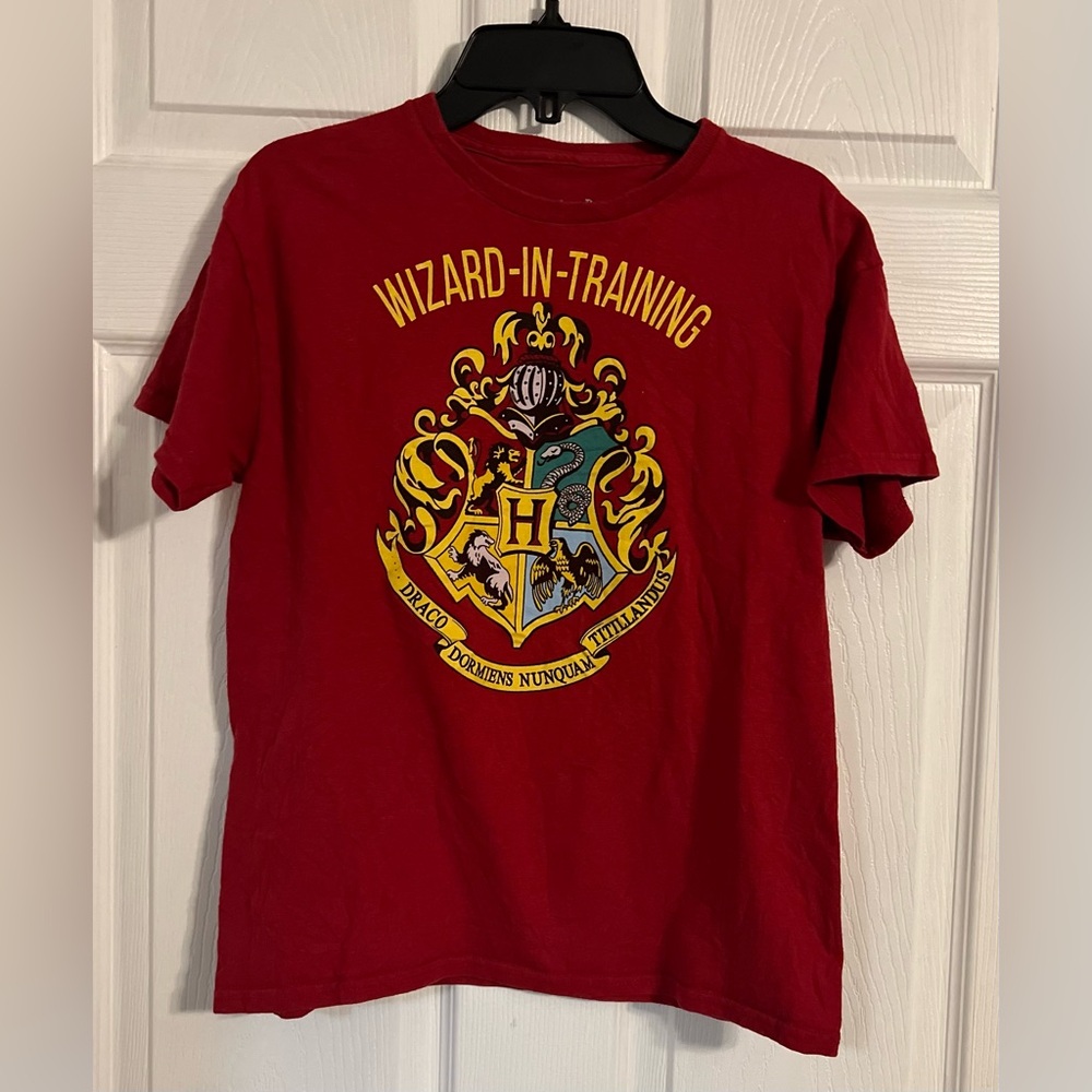 Wizarding World Of Harry Potter Boys Short Sleeve Red Tshirt Size Large